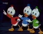   (Duck Tales)