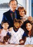  (Alf)