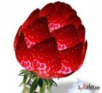 ������� ��������