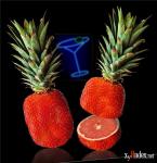 ������� ��������