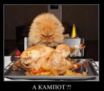 ������ ���������� ����