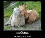 ������ ���������� ����