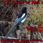 VA - Ultrasound Rare Remixes