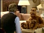  (Alf)