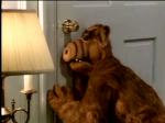 (Alf)