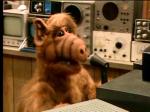 (Alf)