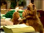  (Alf)