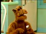  (Alf)