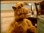  (Alf)