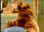  (Alf)