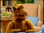  (Alf)