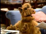  (Alf)