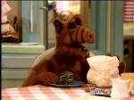  (Alf)