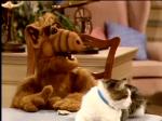  (Alf)