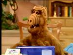  (Alf)