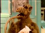  (Alf)