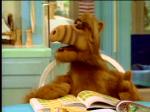  (Alf)