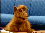  (Alf)