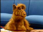  (Alf)