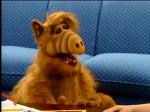  (Alf)