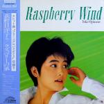 Euro-Italo-Disco|Pop|Hi-NRG: Albums & Best Of 1980-1991