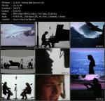 ���������� ���������� 80-�