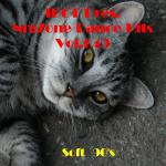 VA - Nrg.Zone Dance Hits