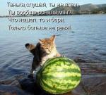 ������� ��������