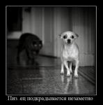 ������� ��������