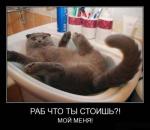 ������� ��������