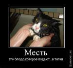 ������� ��������