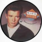 Singles Collection|12'' RMX Compilation