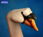 ���������� �������