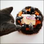 ������� ��������