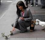 ������� ��������