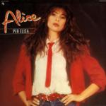 ����������� ���-������ 80-�