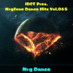 VA - Nrg.Zone Dance Hits