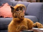  (Alf)