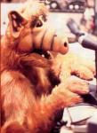  (Alf)