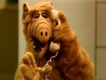  (Alf)