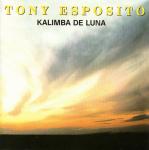 Калимба де луна песни. Тони Эспозито калимба де Луна. Tony Esposito Kalimba de Luna 1984. Тони Эспозито калимба фото. Песня калимба де Луна.