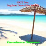 VA - Nrg.Zone Dance Hits