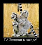 ������ ���������� ����