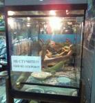 ������� ��������