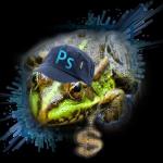 �������