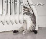 ������ ���������� ����