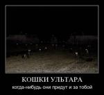 ������ ���������� ����