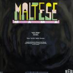 ������ 80�. ������. 1980-1991