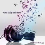 VA - Pioneer Studio 33,5