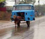 ������� ��������